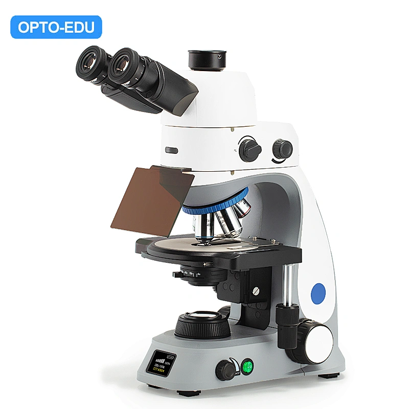 Fluorescent Biological Microscope